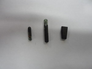 SAM_0554